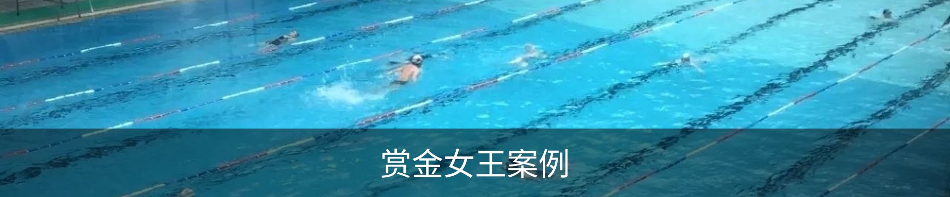 赏金女王案例